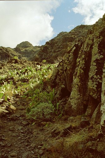 ein Bild von Gomera